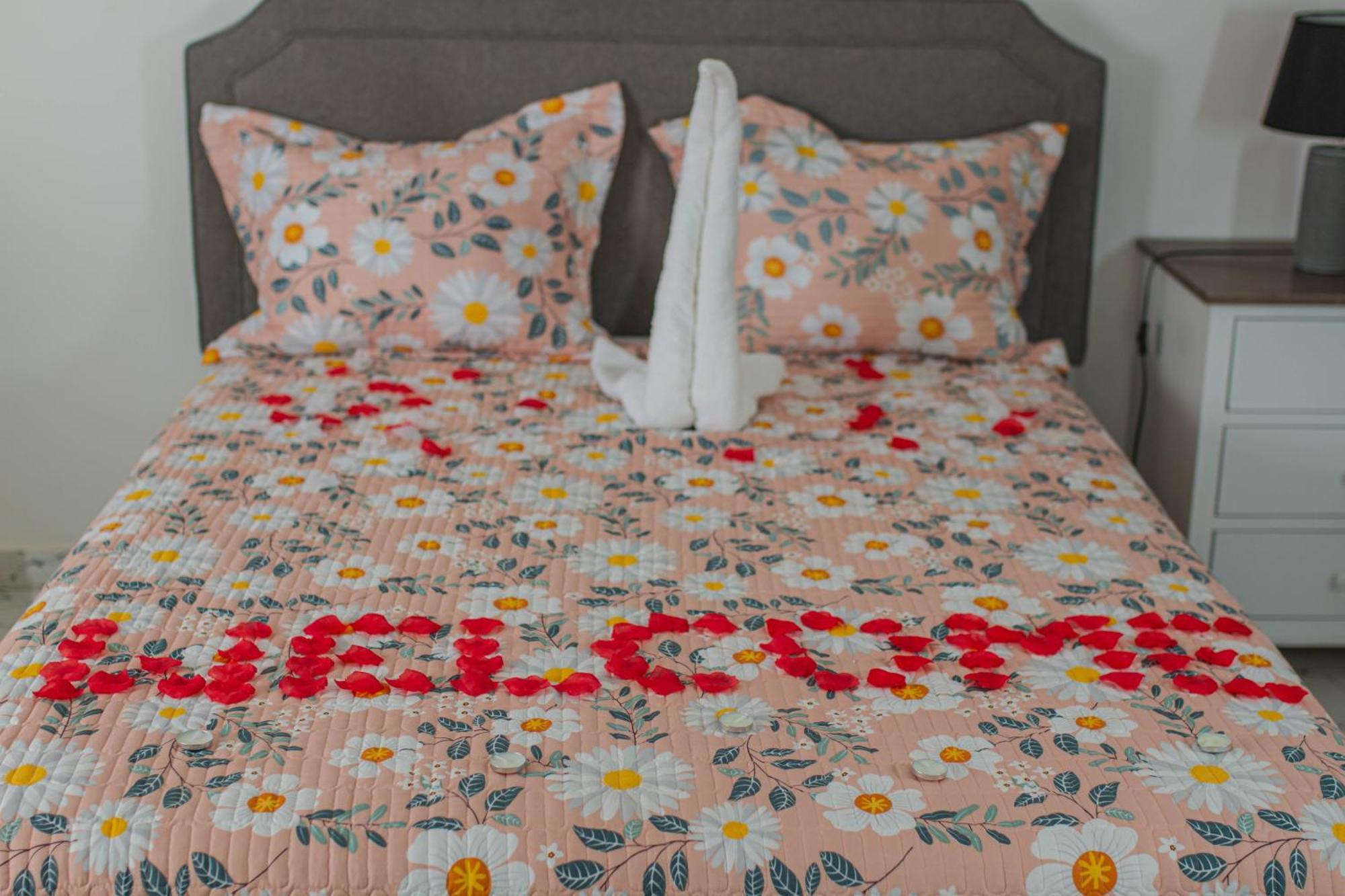 Cidade Paradise Guesthouse Cidade Velha ภายนอก รูปภาพ